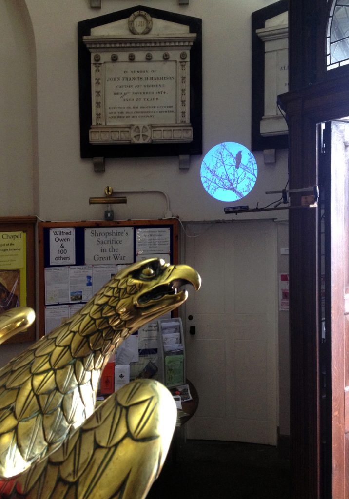 brass eagle head and orb