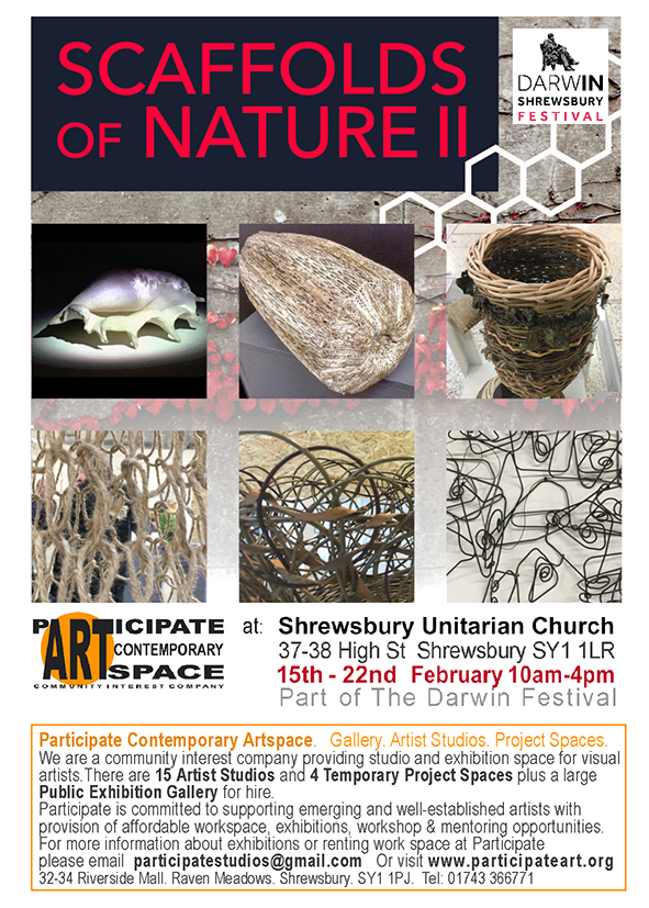 Poster for Scaffolds of Nature II event February 2020