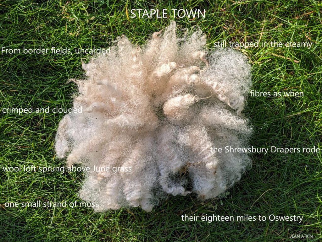 a piece of white sheeps wool on grass surrounded by lines of poetry text