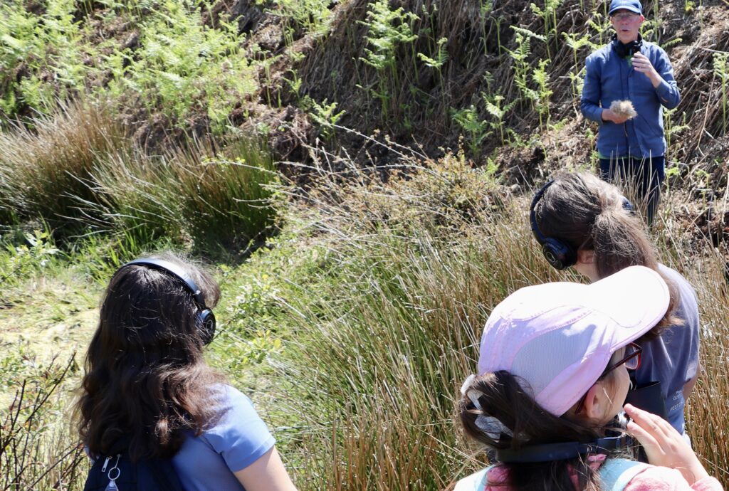 Young people in a grassy landscape wearing headphones and listening to the sounds of history and the present